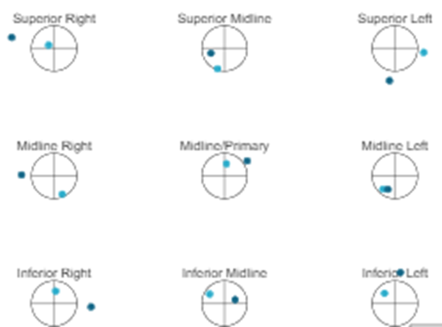 9 pt fixation point example.png