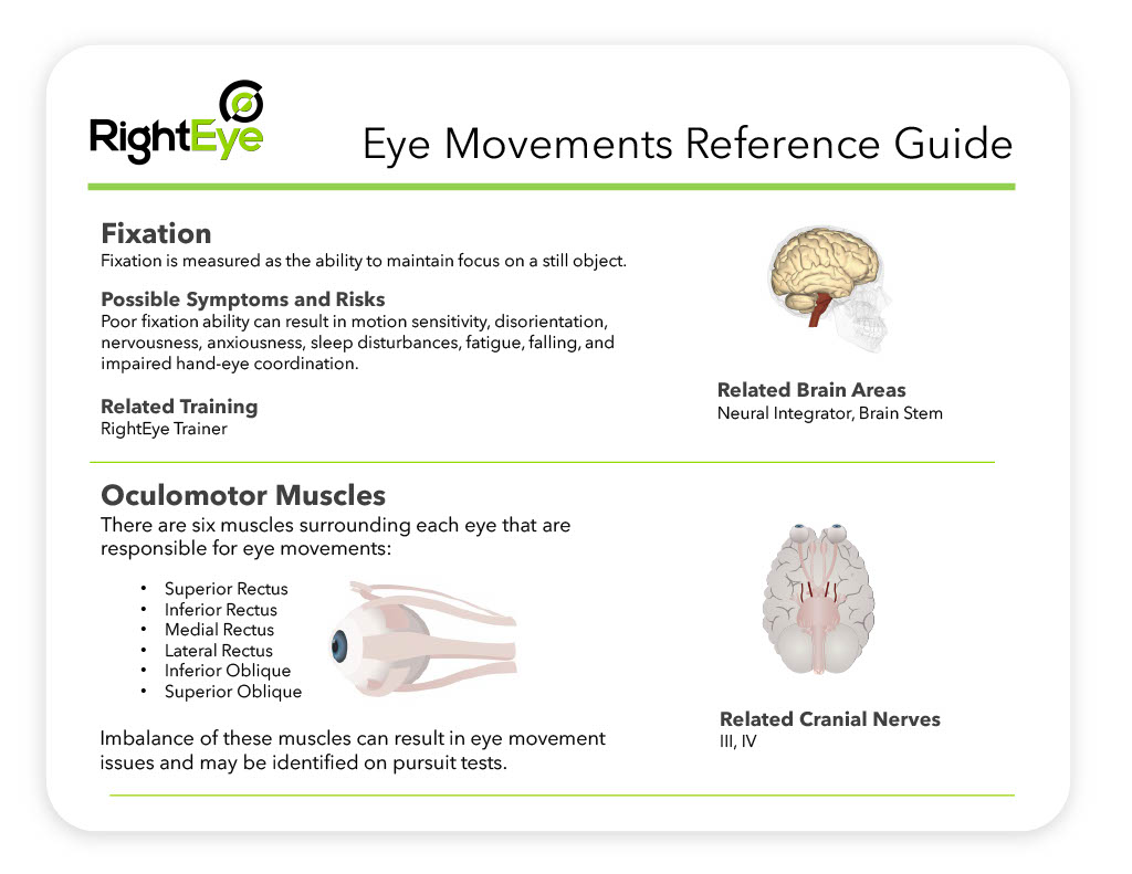 Eye_Movement_Reference_Guide_8.31.221024_2.jpg